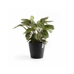 Γλάστρα Ecopots Amsterdam 30*26.3 Μαύρη