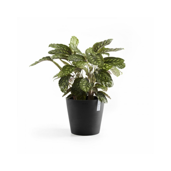 Γλάστρα Ecopots Amsterdam 30*26.3 Μαύρη Γλάστρα Ecopots Amsterdam 30*26.3 Μαύρη