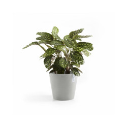 Γλάστρα Ecopots Amsterdam 30*26.3 Ανοιχτό Γκρί