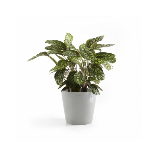 Γλάστρα Ecopots Amsterdam 30*26.3 Ανοιχτό Γκρί Γλάστρα Ecopots Amsterdam 30*26.3 Ανοιχτό Γκρί