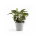 Γλάστρα Ecopots Amsterdam 30*26.3 Ανοιχτό Γκρί Γλάστρα Ecopots Amsterdam 30*26.3 Ανοιχτό Γκρί