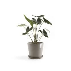 Γλάστρα Ecopots Amsterdam 30*26.3 Taupe