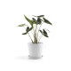 Γλάστρα Ecopots Amsterdam 30*26.3 Λευκή Γλάστρα Ecopots Amsterdam 30*26.3 Λευκή