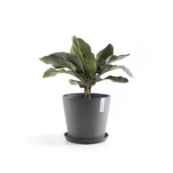 Γλάστρα Ecopots Amsterdam 40*34.5 Γκρί