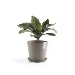 Γλάστρα Ecopots Amsterdam 25*22 Taupe