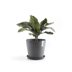 Γλάστρα Ecopots Amsterdam 25*22 Γκρί