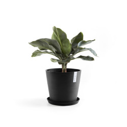 Γλάστρα Ecopots Amsterdam 25*22 Μαύρη