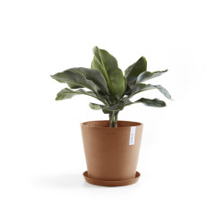 Γλάστρα Ecopots Amsterdam 25*22 Terracota