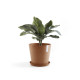 Γλάστρα Ecopots Amsterdam 25*22 Terracota Γλάστρα Ecopots Amsterdam 25*22 Terracota
