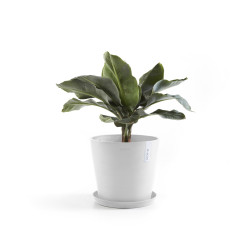 Γλάστρα Ecopots Amsterdam 25*22 Λευκή
