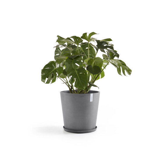 Γλάστρα Ecopots Amsterdam 50.5*43.5 Γκρί Γλάστρα Ecopots Amsterdam 50.5*43.5 Γκρί