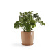 Γλάστρα Ecopots Amsterdam 50.5*43.5 Terracota Γλάστρα Ecopots Amsterdam 50.5*43.5 Terracota