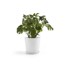Γλάστρα Ecopots Amsterdam 50.5*43.5 Λευκή