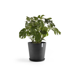 Γλάστρα Ecopots Amsterdam 50.5*43.5 Μαύρη