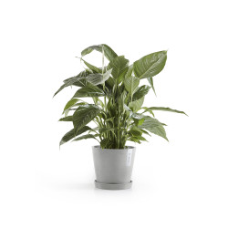 Γλάστρα Ecopots Amsterdam 20*17.1 Ανοιχτό Γκρί
