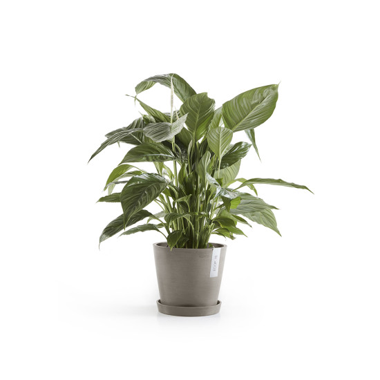Γλάστρα Ecopots Amsterdam 20*17.1 Taupe Γλάστρα Ecopots Amsterdam 20*17.1 Taupe