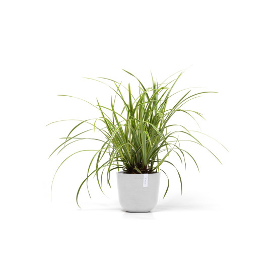 Γλάστρα Ecopots Oslo Mini 19*16.5 Λευκή Γλάστρα Ecopots Oslo Mini 19*16.5 Λευκή