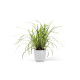 Γλάστρα Ecopots Oslo Mini 19*16.5 Λευκή Γλάστρα Ecopots Oslo Mini 19*16.5 Λευκή