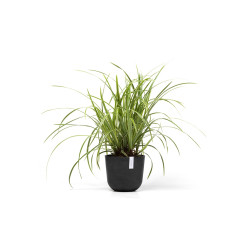 Γλάστρα Ecopots Oslo Mini 19*16.5 Μαύρη
