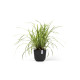 Γλάστρα Ecopots Oslo Mini 19*16.5 Μαύρη Γλάστρα Ecopots Oslo Mini 19*16.5 Μαύρη