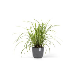 Γλάστρα Ecopots Oslo Mini 19*16.5 Γκρί