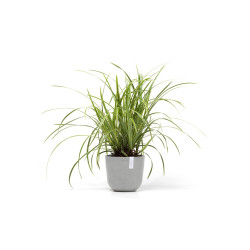 Γλάστρα Ecopots Oslo Mini 19*16.5 Ανοιχτό Γκρί