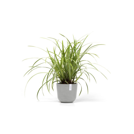 Γλάστρα Ecopots Oslo Mini 19*16.5 Ανοιχτό Γκρί Γλάστρα Ecopots Oslo Mini 19*16.5 Ανοιχτό Γκρί