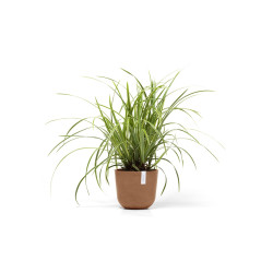 Γλάστρα Ecopots Oslo Mini 19*16.5 Terracota