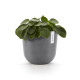Γλάστρα Ecopots  Oslo 25*21.8 Γκρί