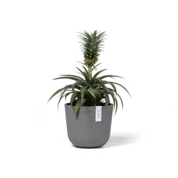 Γλάστρα Ecopots Oslo Mini 16*13.7 Γκρί