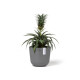 Γλάστρα Ecopots Oslo Mini 16*13.7 Γκρί Γλάστρα Ecopots Oslo Mini 16*13.7 Γκρί