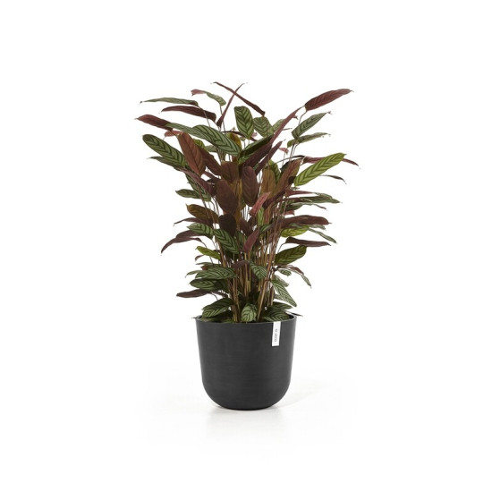 Γλάστρα Ecopots Oslo 35*30.5 Μαύρη Γλάστρα Ecopots Oslo 35*30.5 Μαύρη
