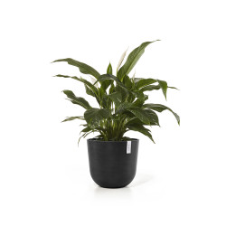 Γλάστρα Ecopots Oslo 45*39.4 Μαύρη 