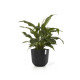 Γλάστρα Ecopots Oslo 45*39.4 Μαύρη Γλάστρα Ecopots Oslo 45*39.4 Μαύρη