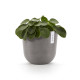 Γλάστρα Ecopots Oslo 25*21.8 Taupe
