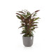Γλάστρα Ecopots Oslo 35*30.5 Taupe Γλάστρα Ecopots Oslo 35*30.5 Taupe