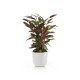 Γλάστρα Ecopots Oslo 35*30.5 Λευκή Γλάστρα Ecopots Oslo 35*30.5 Λευκή