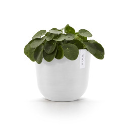 Γλάστρα Ecopots Oslo 25*21.8 Λευκή