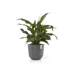Γλάστρα Ecopots Oslo 45*39.4 Γκρί 