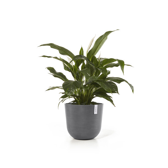 Γλάστρα Ecopots Oslo 45*39.4 Γκρί Γλάστρα Ecopots Oslo 45*39.4 Γκρί