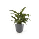 Γλάστρα Ecopots Oslo 45*39.4 Γκρί Γλάστρα Ecopots Oslo 45*39.4 Γκρί