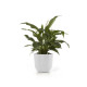 Γλάστρα Ecopots Oslo 45 *39.4 Λευκή Γλάστρα Ecopots Oslo 45 *39.4 Λευκή