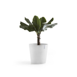 Γλάστρα Ecopots Amsterdam 60*56 Λευκό 
