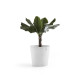 Γλάστρα Ecopots Amsterdam 60*56 Λευκό Γλάστρα Ecopots Amsterdam 60*56 Λευκό