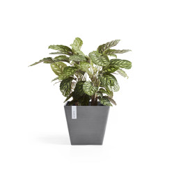 Γλάστρα Ecopots Rotterdam 50*50*43.5 Γρκί 