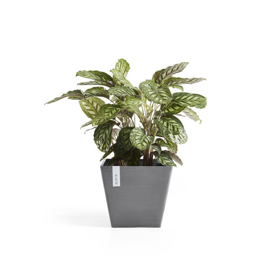 Γλάστρα Ecopots Rotterdam 50*50*43.5 Γρκί Γλάστρα Ecopots Rotterdam 50*50*43.5 Γρκί