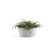 Γλάστρα Ecopots fankfurt 41*17.8 Λευκό Γκρί Γλάστρα Ecopots fankfurt 41*17.8 Λευκό Γκρί