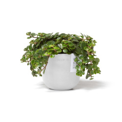 Γλάστρα Ecopots Oslo Mini 11.5**9.5 Λευκή 