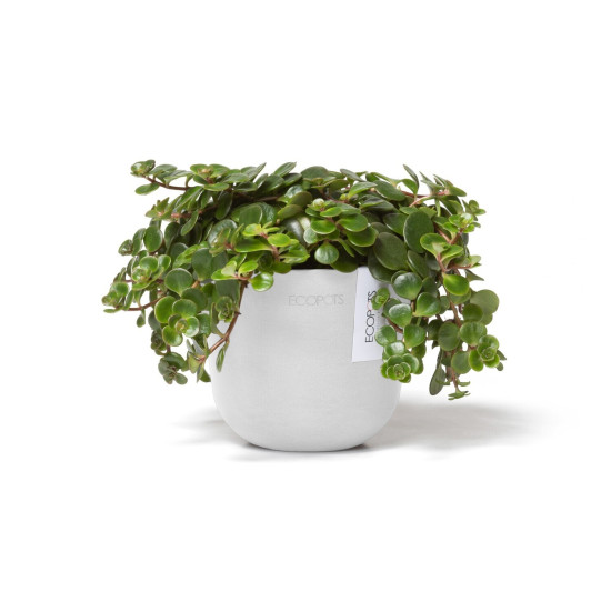 Γλάστρα Ecopots Oslo Mini 11.5**9.5 Λευκή Γλάστρα Ecopots Oslo Mini 11.5**9.5 Λευκή