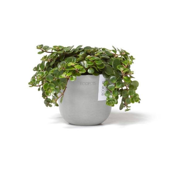 Γλάστρα Ecopots Oslo Mini 11.5*9.5 Λευκό Γκρί Γλάστρα Ecopots Oslo Mini 11.5*9.5 Λευκό Γκρί
